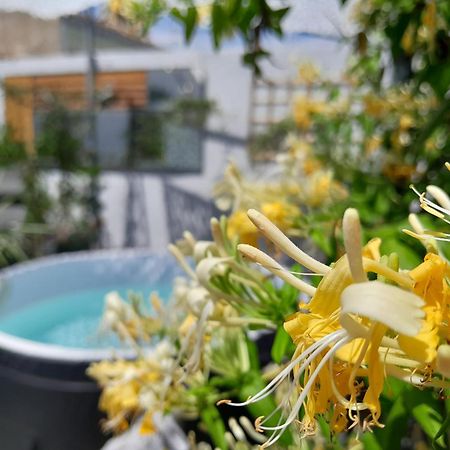 Le Petit Patio Bed and Breakfast Aigues-Mortes Εξωτερικό φωτογραφία