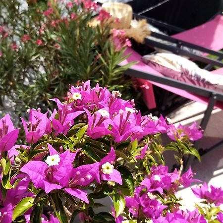Le Petit Patio Bed and Breakfast Aigues-Mortes Εξωτερικό φωτογραφία