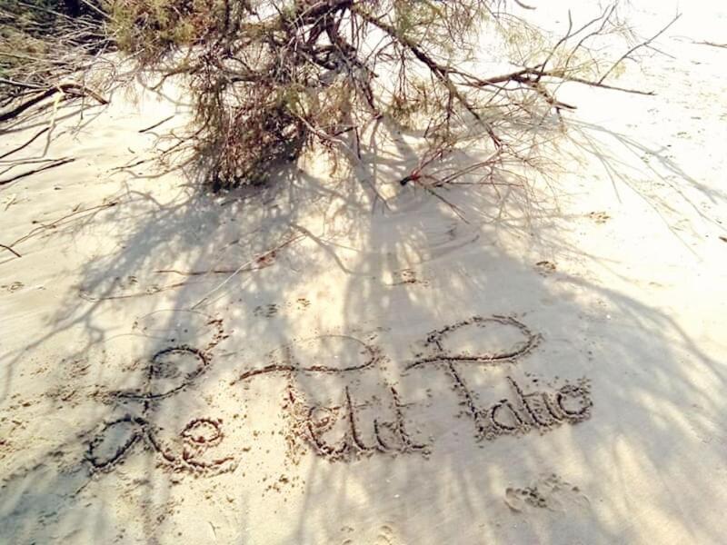 Le Petit Patio Bed and Breakfast Aigues-Mortes Εξωτερικό φωτογραφία