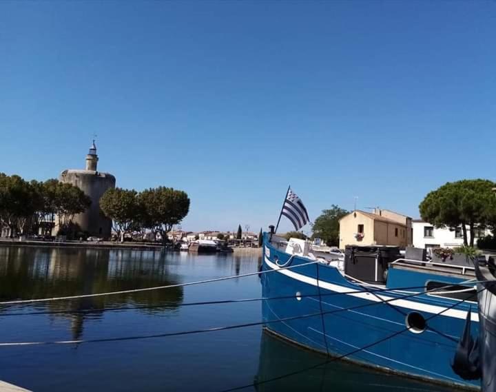 Le Petit Patio Bed and Breakfast Aigues-Mortes Εξωτερικό φωτογραφία