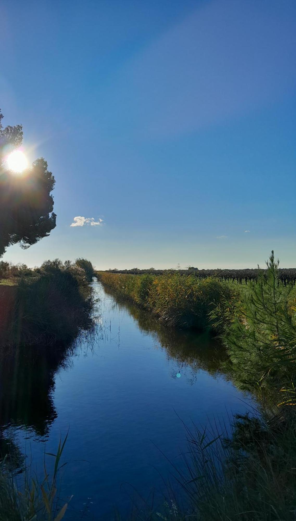 Le Petit Patio Bed and Breakfast Aigues-Mortes Εξωτερικό φωτογραφία