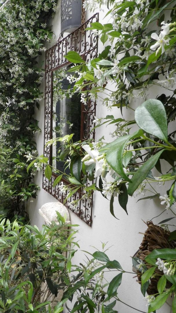 Le Petit Patio Bed and Breakfast Aigues-Mortes Εξωτερικό φωτογραφία