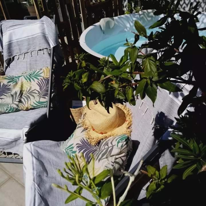 Le Petit Patio Bed and Breakfast Aigues-Mortes Εξωτερικό φωτογραφία