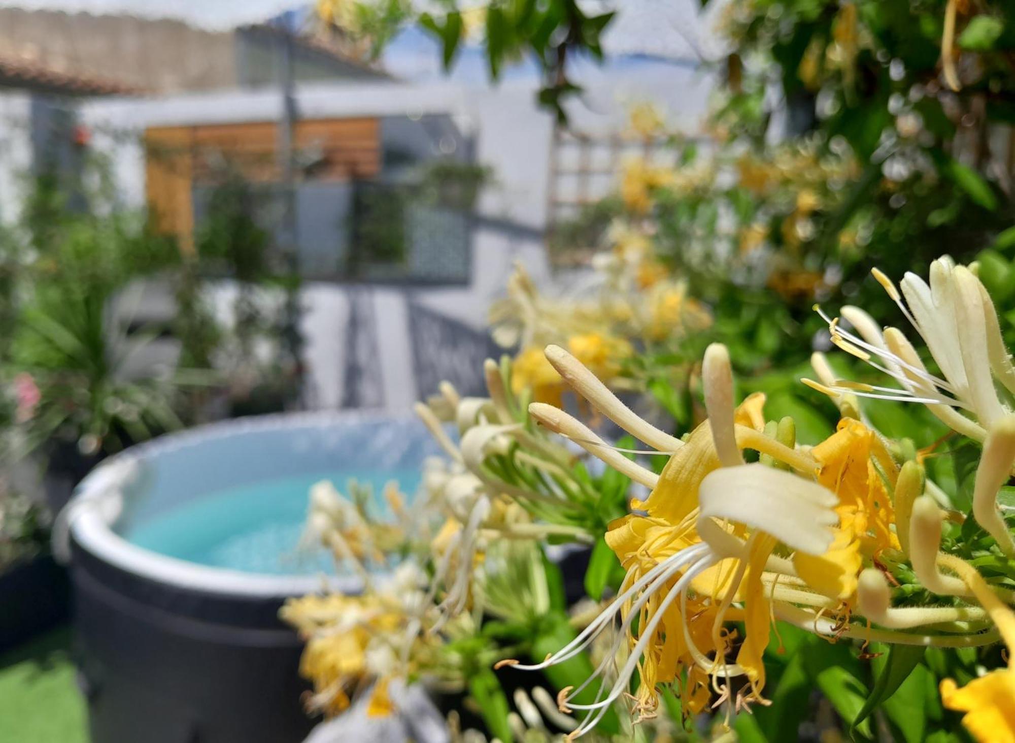 Le Petit Patio Bed and Breakfast Aigues-Mortes Εξωτερικό φωτογραφία