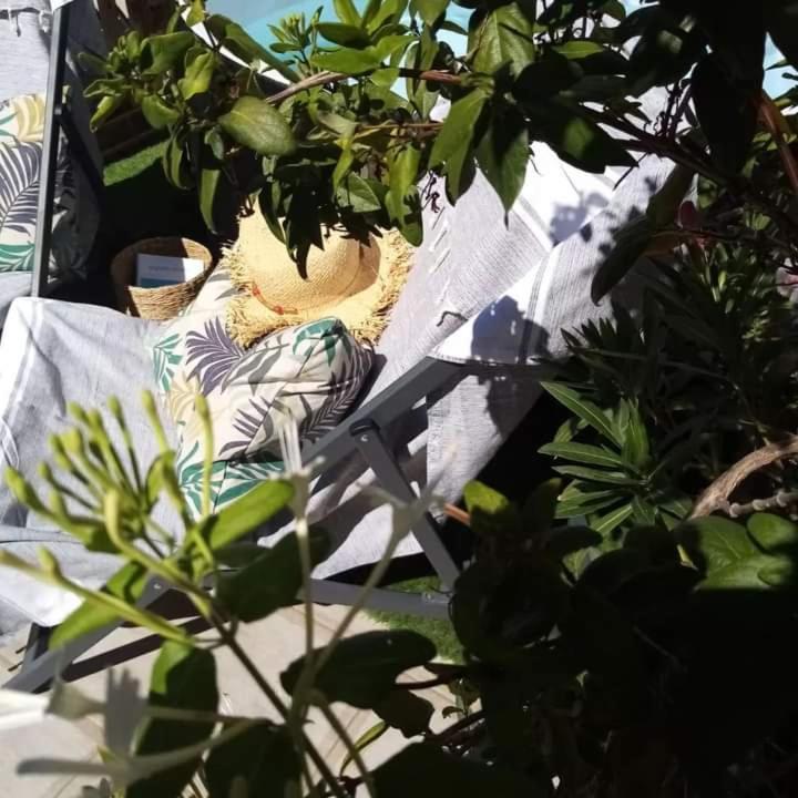 Le Petit Patio Bed and Breakfast Aigues-Mortes Εξωτερικό φωτογραφία