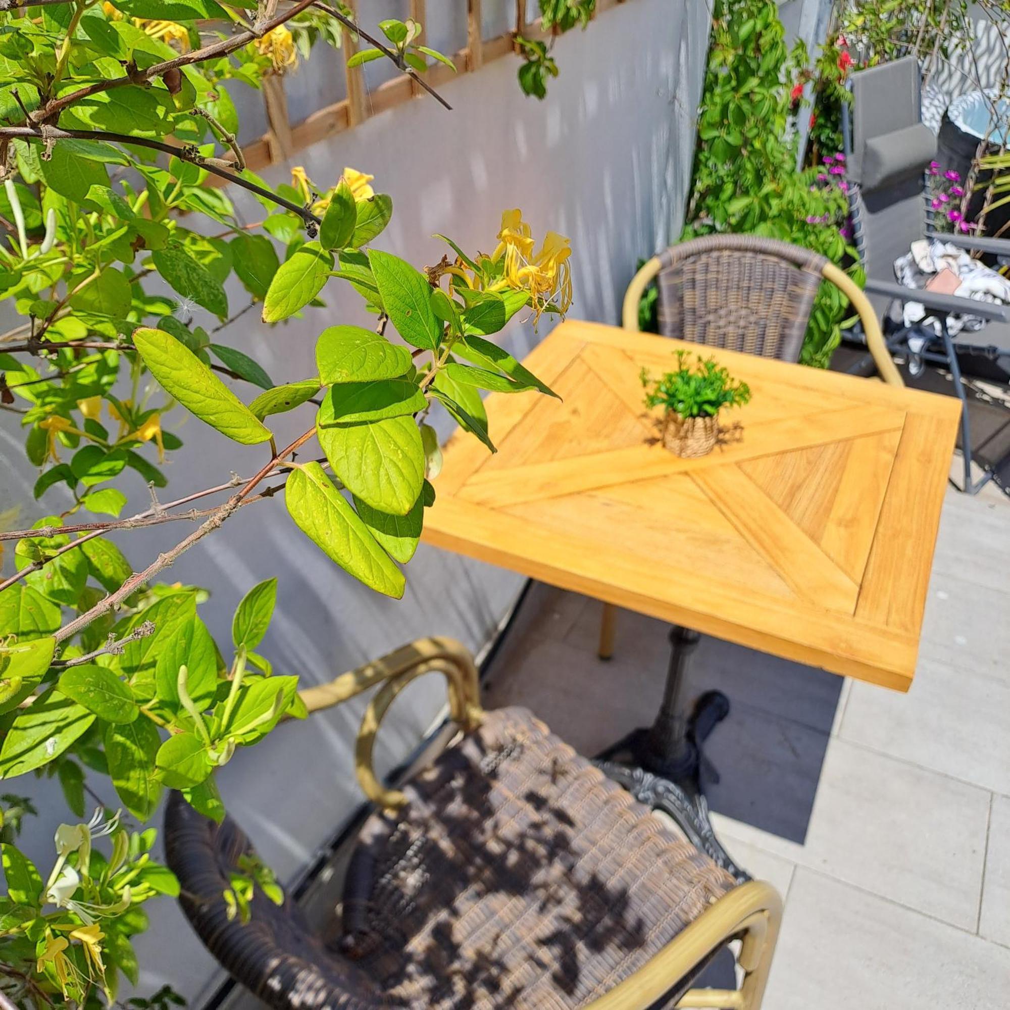Le Petit Patio Bed and Breakfast Aigues-Mortes Εξωτερικό φωτογραφία