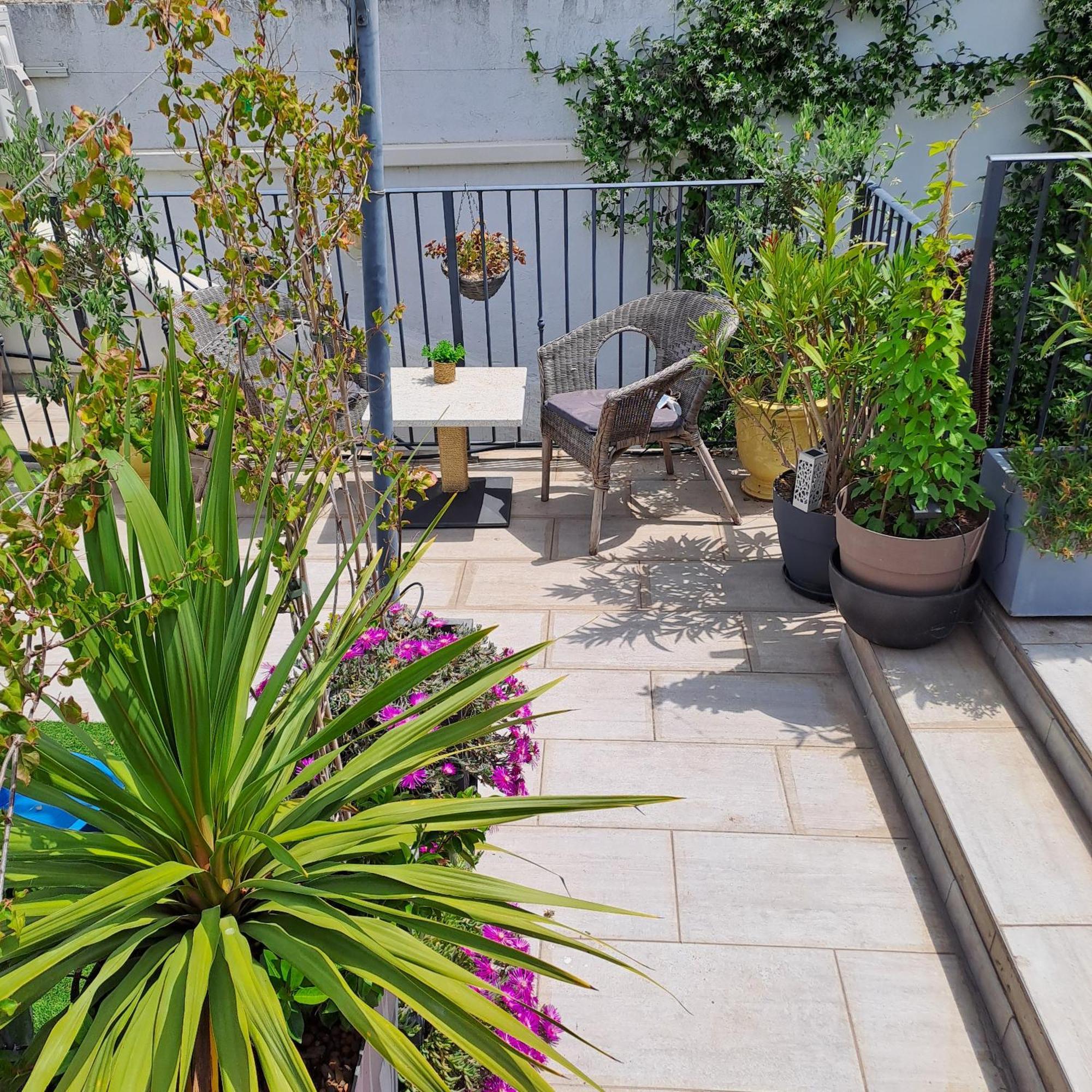 Le Petit Patio Bed and Breakfast Aigues-Mortes Εξωτερικό φωτογραφία