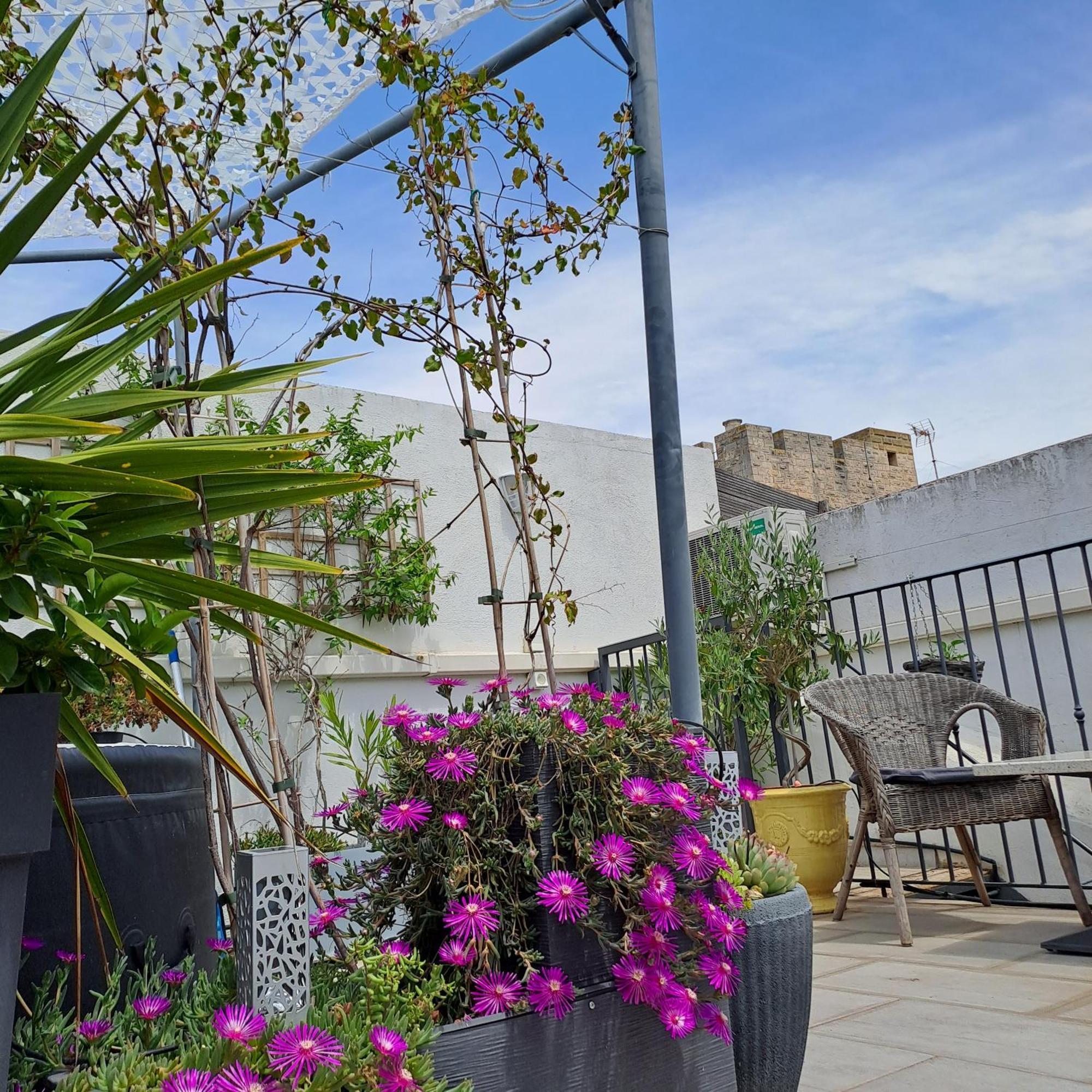 Le Petit Patio Bed and Breakfast Aigues-Mortes Εξωτερικό φωτογραφία
